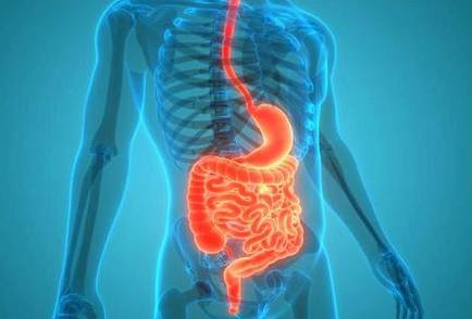 Imagerie Digestive